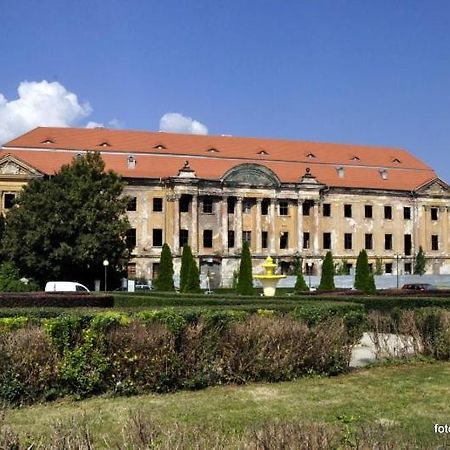 Apartmán M.S. Piccolo Żary Exteriér fotografie