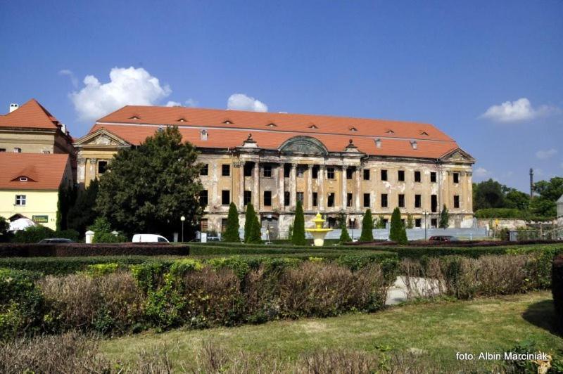 Apartmán M.S. Piccolo Żary Exteriér fotografie